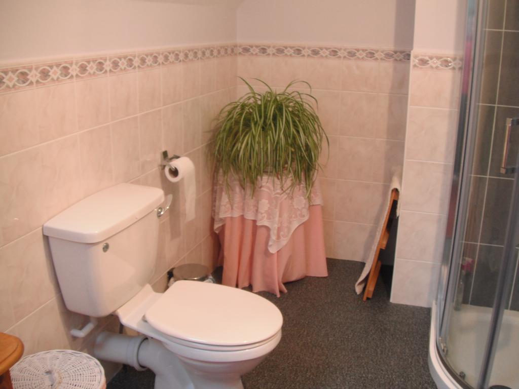 Narrow Gauge B&B Ballymoney Pokoj fotografie